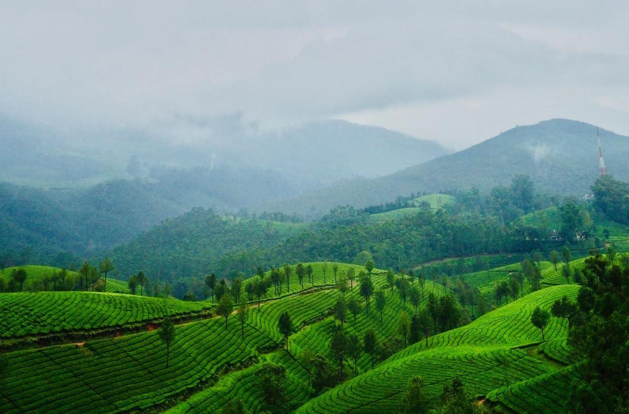 Lockhart Bungalow Munnar - A Cgh Earth Saha Experience Exteriér fotografie
