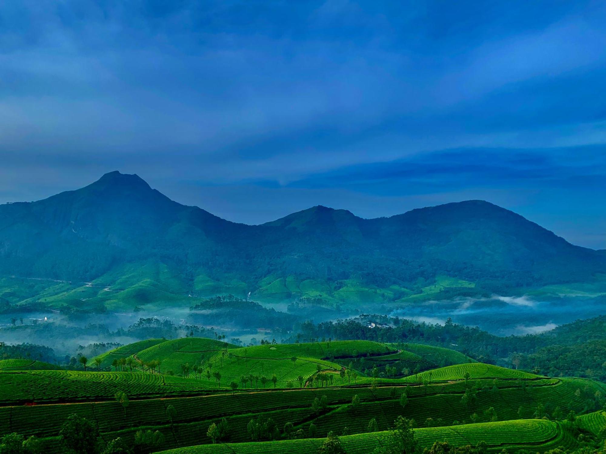 Lockhart Bungalow Munnar - A Cgh Earth Saha Experience Exteriér fotografie