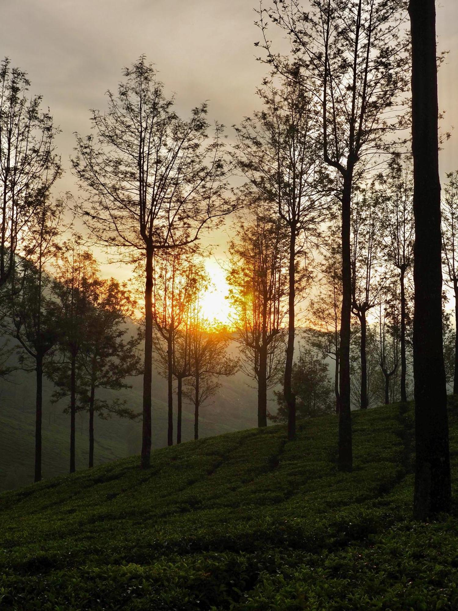 Lockhart Bungalow Munnar - A Cgh Earth Saha Experience Exteriér fotografie