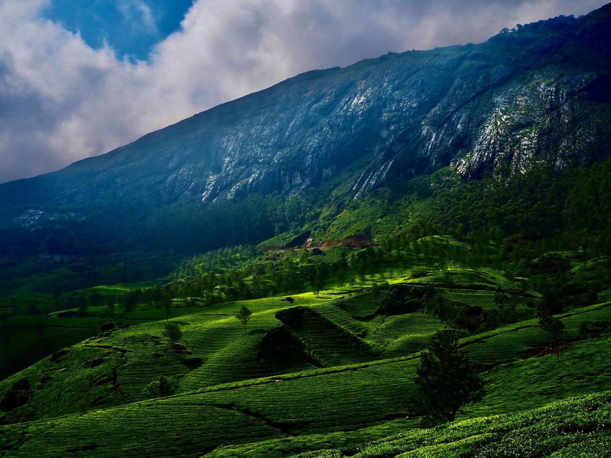 Lockhart Bungalow Munnar - A Cgh Earth Saha Experience Exteriér fotografie
